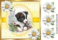 Cute Border Collie Puppy , Yellow Gingham & Daisies 8x8 (Three)