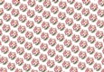 Pretty Plumeria Pastel Flowers Backing Paper (Small)