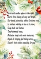Lovely Red Berry & Holly A4 Card Front/Insert Verse (Three)
