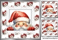 Pretty Winter Flowers With Peeking Santa On Lace 8x8 Card