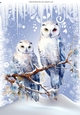 Lovely Snow Scene With White Owl A4 Two
