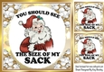 Gold & White Baubles With Santa Caption 8x8 Two