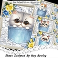 4 Cute Kitties In Denim Pockets & Lace With Flowers 8x8 Mini Kit