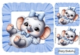 Cute Baby Elephant In Blue Frill 8X8 Frame (Two)