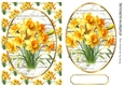 Pretty A5 Yellow Daffodils In Oval Frame & Topper 