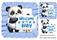 Welcome Baby! Cute Panda Blue Frill 8x8 Frame