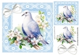 Pretty Spring Dove On A Branch With Flowers Blue Lace 8X8 Frame (Three)