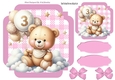 Lovely Birthday Teddy With Balloons (AGE THREE ) In Pink Gingham Frame