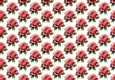 Pretty Watercolour Red Roses Backing Paper (SMALL)