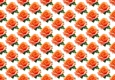 Pretty Watercolour Peach Roses Backing Paper (SMALL)