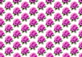 Pretty Watercolour Pink Roses Backing Paper (SMALL)