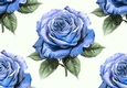 Pretty Watercolour Blue Roses Backing Paper (BIG)