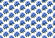 Pretty Watercolour Blue Roses Backing Paper (SMALL)