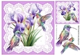 Purple Iris On Lace With Pretty Humming Birds 8x8 (Two)