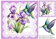 Purple Iris On Lace With Pretty Humming Birds 8x8 (Three)