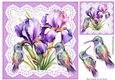 Purple Iris On Lace With Pretty Humming Birds 8x8 (Four)