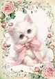 Pretty Little White Kitten In Frame Of Pink Roses A4 (ONE)