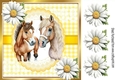 Pretty White Daisies & Yellow Gingham 8x8 With Horses (Four)