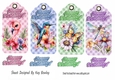 4 Coloured Birthday Gingham Tags/Toppers With Birds/Dragonflies