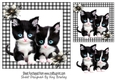 Cute Kittens With Flowers Black Gingham 7x7 (Four)