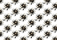 Black Gold Flowers Backing Paper (SMALL)