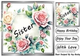 Pretty Pink & Cream Roses In Silver Frame 8x8 for SISTER