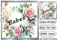 Pretty Pink & Cream Roses In Silver Frame 8x8 for BABES