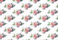 Pretty Pink Roses With Leaves Backing Paper