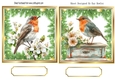 Two Lovely Robins, Toppers With Ferns & Flowers (TWO)