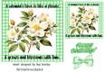 Pretty Vintage Flowers With Quote 7x7 Green Gingham Frame (FOUR)