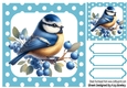 Pretty Bird in Polkadot 8X8 Frame (THREE)