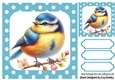 Pretty Bird in Polkadot 8X8 Frame (FOUR)