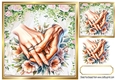 Beautiful Wedding Holding Hands Peach/Pink Roses 8x8