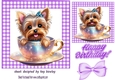 Cute Little Yorkie In A Teacup  In A Purple  Gingham 7x7 Frame (FOUR)