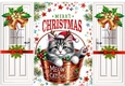 Cute Kitten in A Bucket Gatefold With Bells & Bows (TWO)