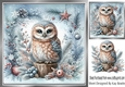 Pretty Snow Owl In Festive 8x8 Frame (TWO)