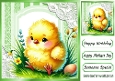 SPRING TIME! Yellow Chick With Lace 8x8 (ONE)