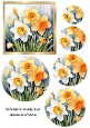 Pretty Yellow And White Spring Daffodils Circle Pyramids