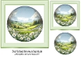 A Meadow Of Daisies 7x7 Card Front