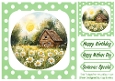 Pretty Field Of Daisies, With A Cottage 8x8 Green Polkadot Frame
