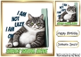 Funny 8X8 Topper With Humour Caption (FIFTEEN)