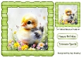 Cute Yellow Chicks In Green Wood Effect 8X8 Frame (THREE)