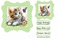 Green Wavy Polkadot 7X7 Card Front With Kitten & Butterfly