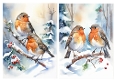 2 Lovely A5 Card Fronts Of Robins In The Snow (ONE & TWO)