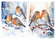 2 Lovely A5 Card Fronts Of Robins In The Snow (THREE & FOUR)