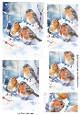  Lovely Robins In The Snow Pyramids (ONE)
