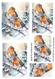 Lovely Robins In The Snow Pyramids (THREE)
