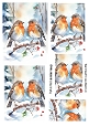 Lovely Robins In The Snow Pyramids (FOUR)