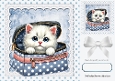 Cute Kitten In A Blue Makeup Bag Lace & Bow 8x8 Card/Toppers