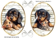 Cute Puppy/Kittens With Bows Toppers (SET TWO)
